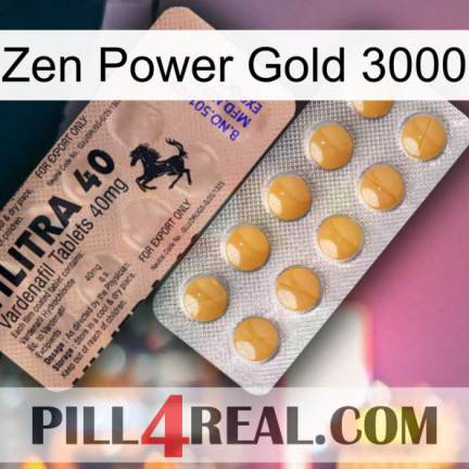Zen Power Gold 3000 41
